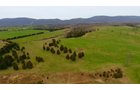 Property photo 21 - LAND AUCTION - 533+/- ACRES OFFERED IN 5 TRACTS IN HARDY COUNTY, WEST VIRGINIA